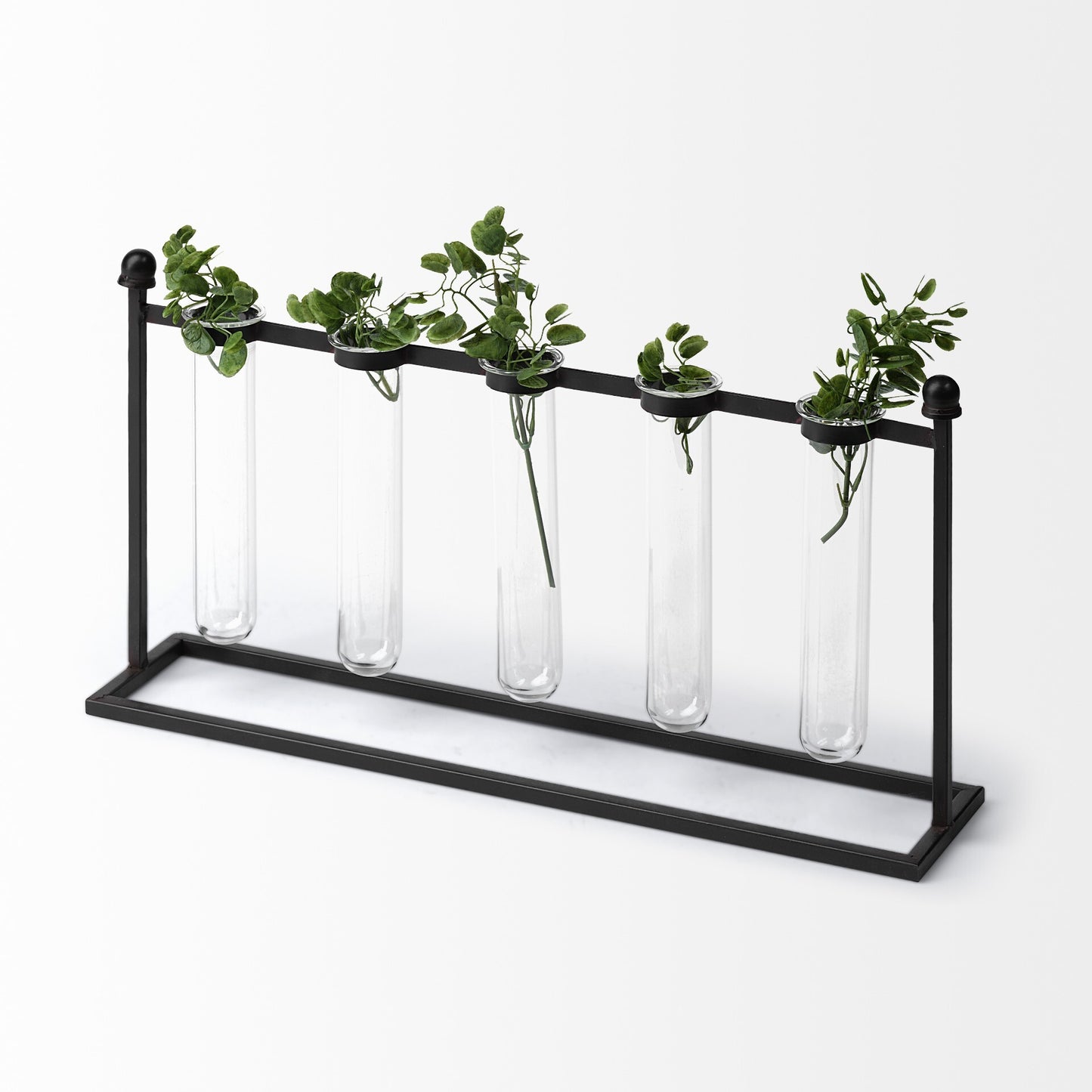 Detail of glass test tubes in black metal bracket, modern minimalist vase for single stem flower displays