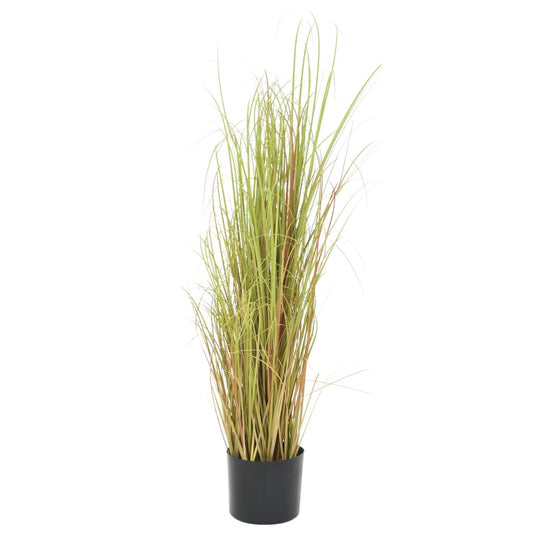 Potted plant with tall green grass-like leaves on a white background